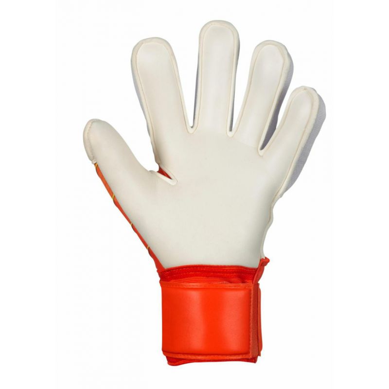 nanito_source_url:https://b2bsportswholesale.net/public/storage/productimages/a3/f0/2e/6d/1094206/image/xlarge_clean.jpg