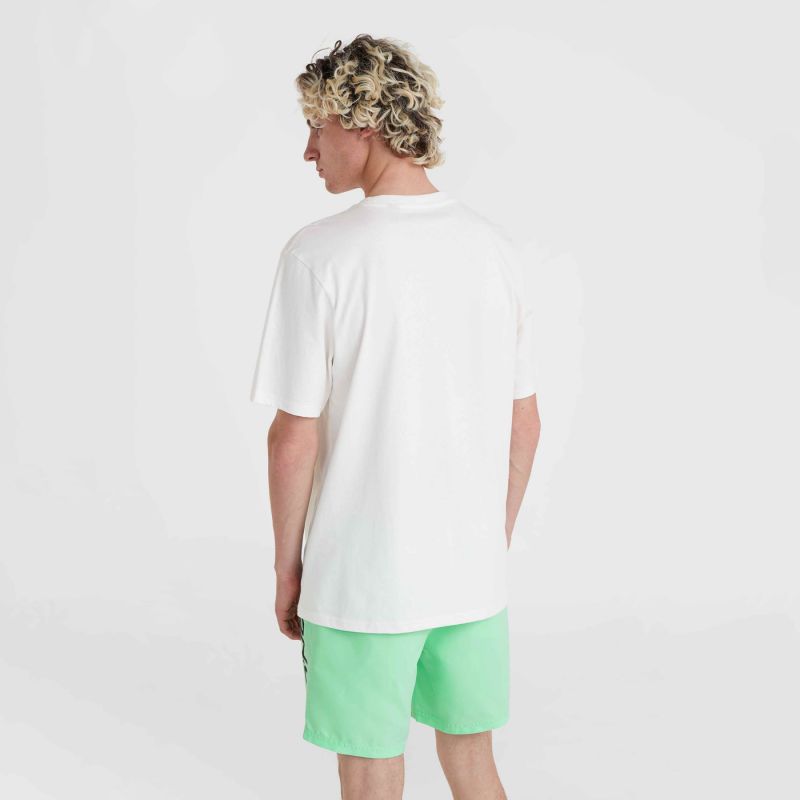 nanito_source_url:https://b2bsportswholesale.net/public/storage/productimages/b3/f4/b5/b3/1116223/image/xlarge_clean.jpg