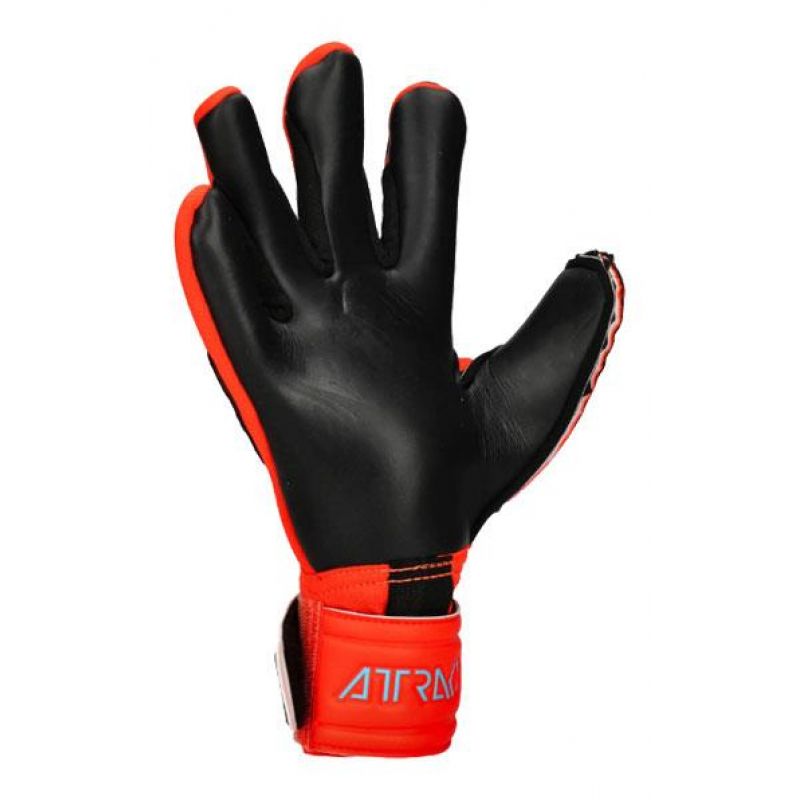 nanito_source_url:https://b2bsportswholesale.net/public/storage/productimages/da/f4/cd/ff/946433/image/xlarge_clean.jpg