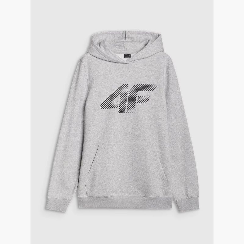 Men's sweatshirt with hood, open, 4F 4FWMM00TSWSM1766-27M
