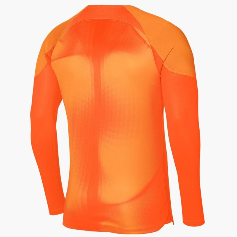 Nike Gardien IV Goalkeeper JSY M DH7967 819