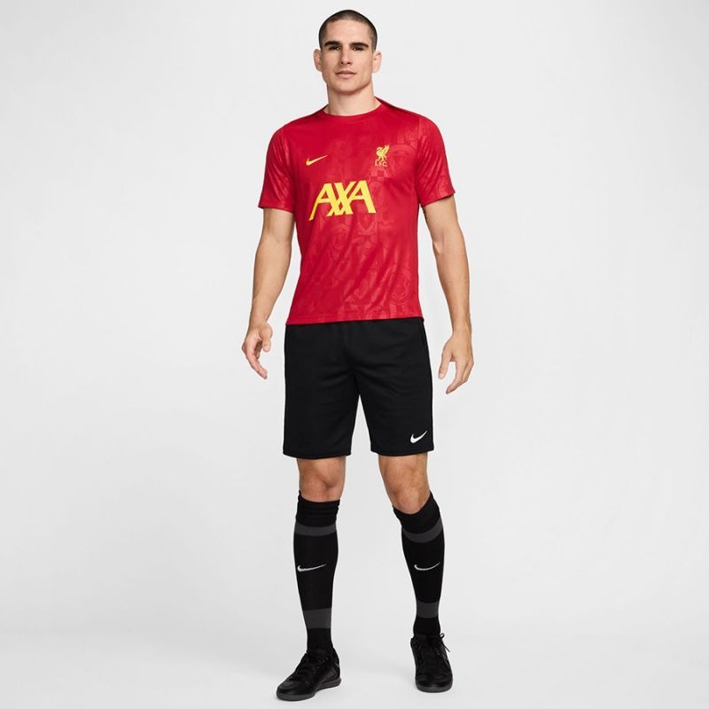 Nike Liverpool FC Academy Pro SStop M FN9653-688 T-Shirt