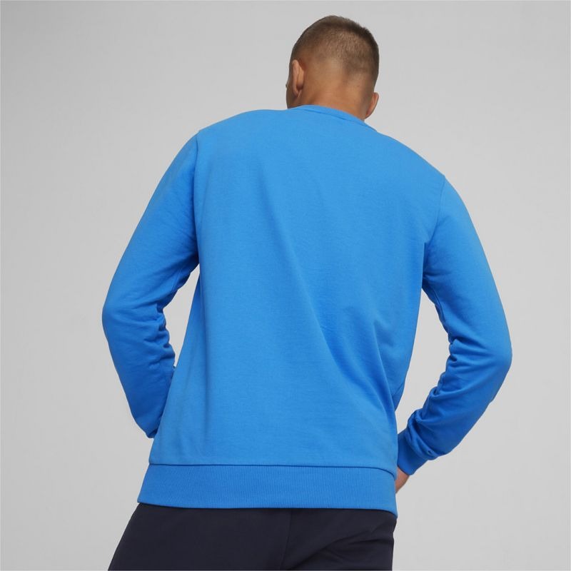 Puma Team Goal Casuals Crew Neck Sweat M 658592 02