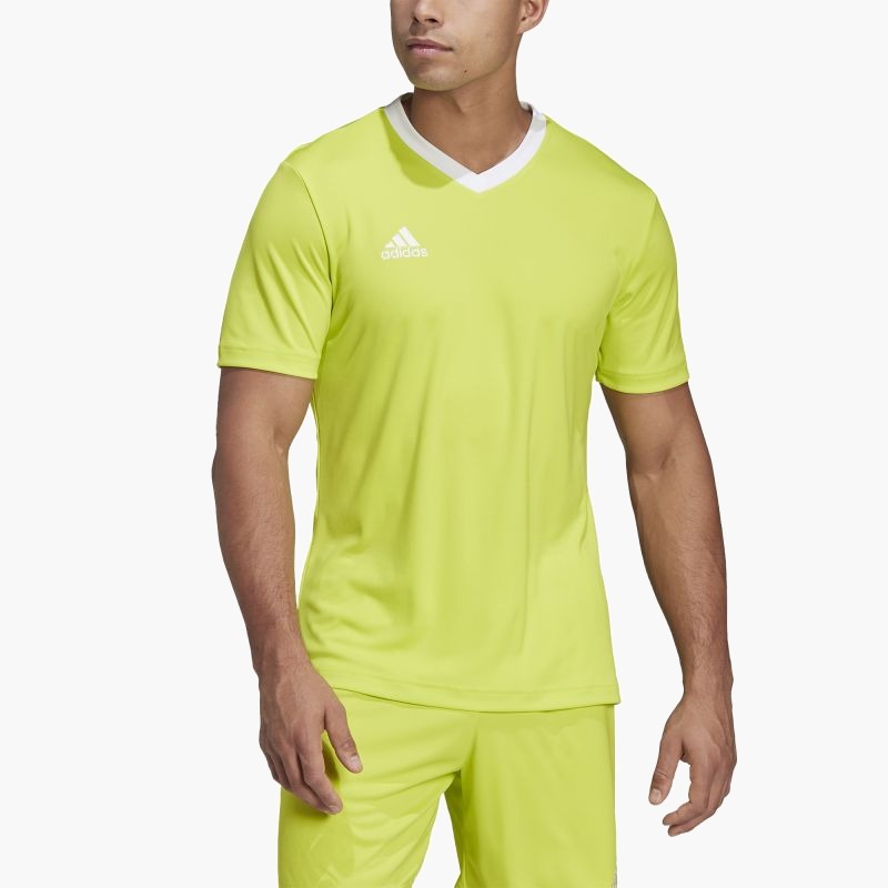 Adidas Entrada 22 M T-shirt HC5077