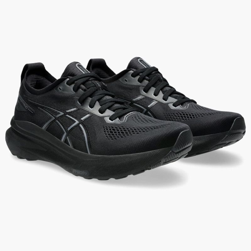 Asics Gel Kayano 31 Shoes