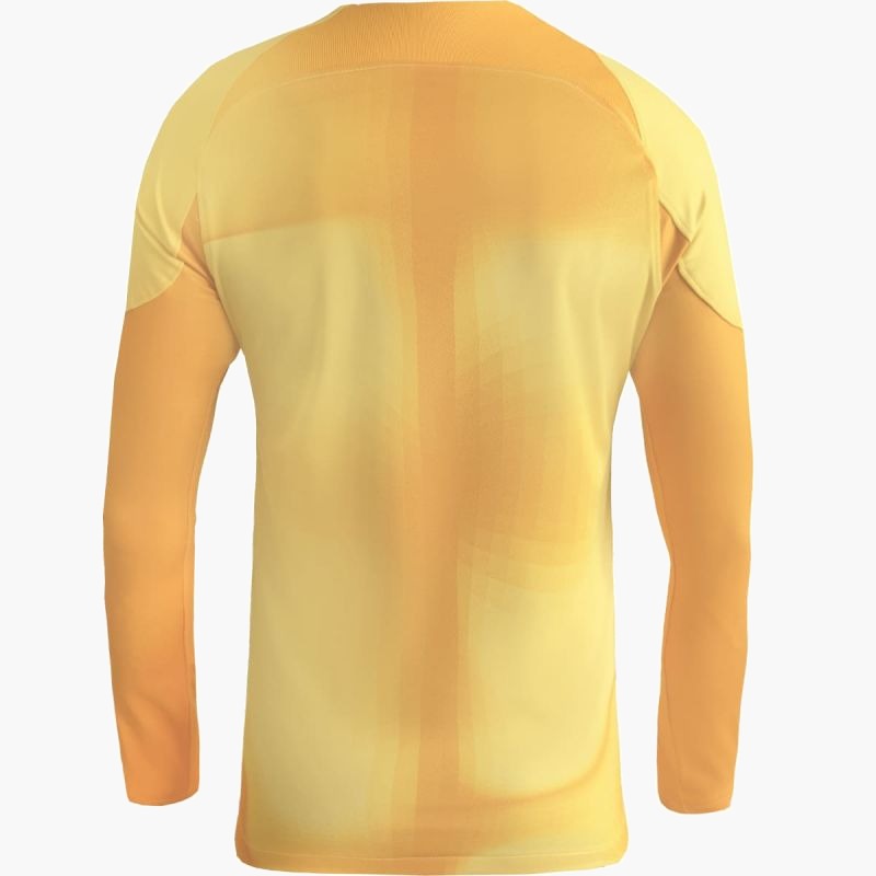 Nike Gardien IV Goalkeeper JSY M DH7967 719
