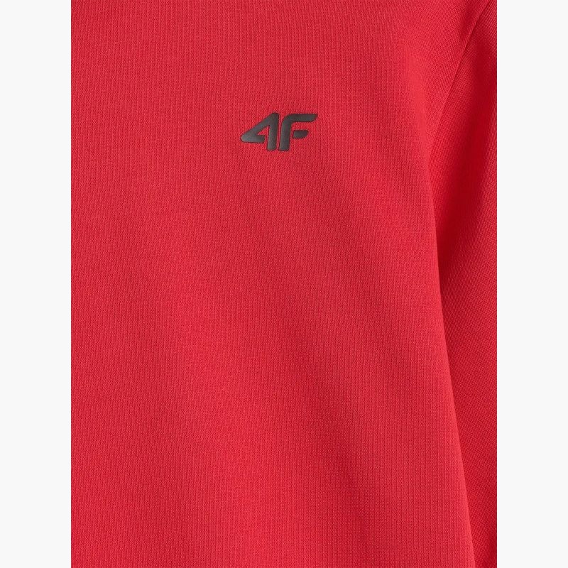 Men's sweatshirt without zipper, without hood, 4F 4FWMM00TSWSM1767-062S