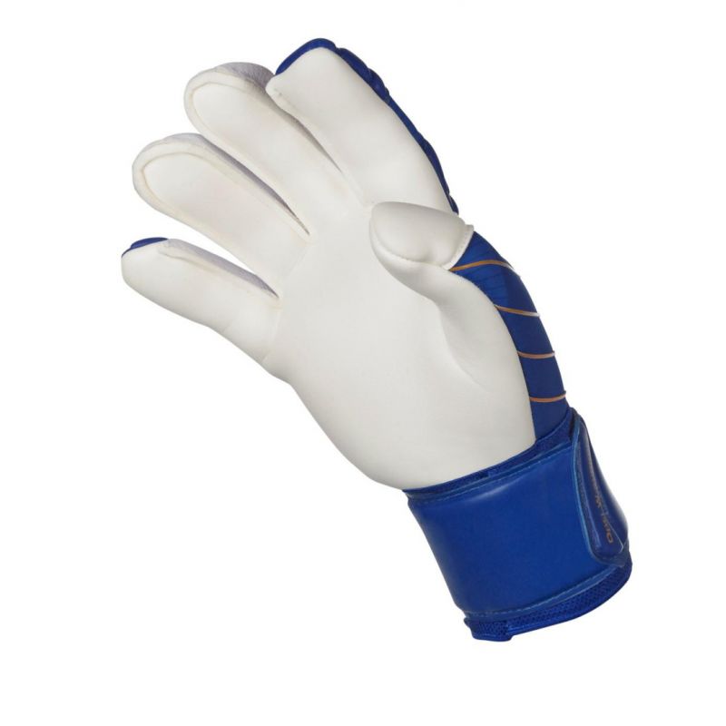 nanito_source_url:https://b2bsportswholesale.net/public/storage/productimages/91/11/7b/08/1132022/image/xlarge_clean.jpg