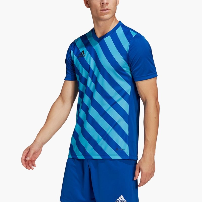 adidas Entrada 22 Graphic Jersey M HF0116