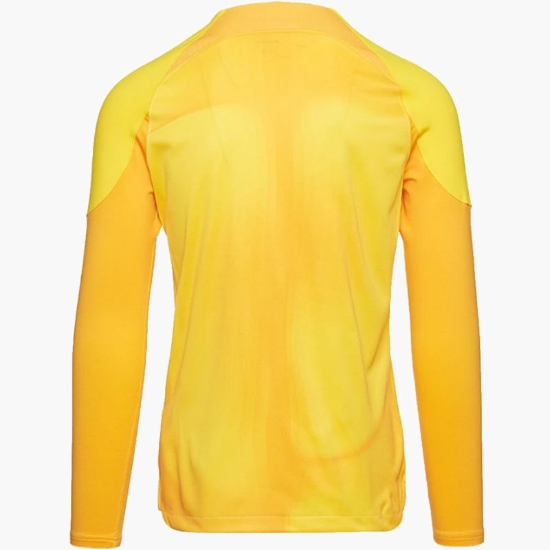 Nike Gardien IV Goalkeeper JSY M DH7967 719
