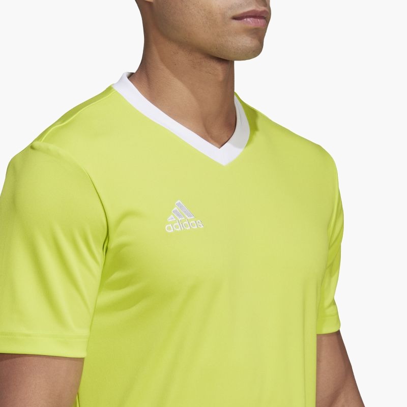 Adidas Entrada 22 M T-shirt HC5077
