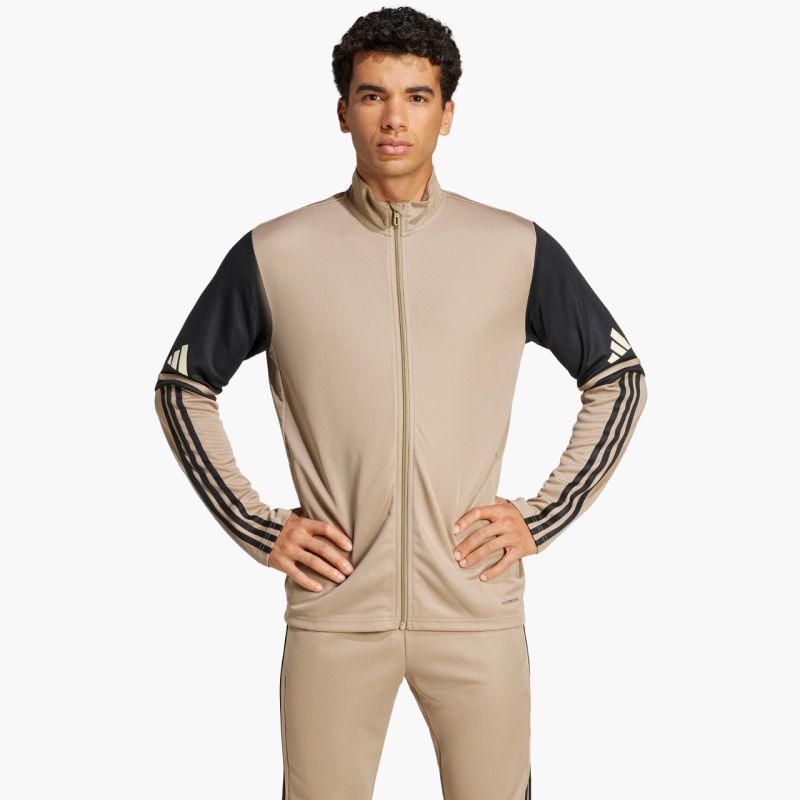 Adidas Squadra 25 Training M JP3391 sweatshirt