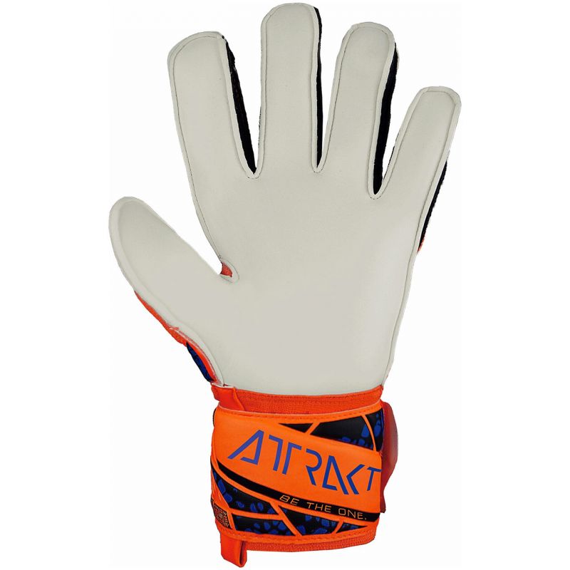 nanito_source_url:https://b2bsportswholesale.net/public/storage/productimages/19/6e/8f/4b/1059492/image/xlarge_clean.jpg