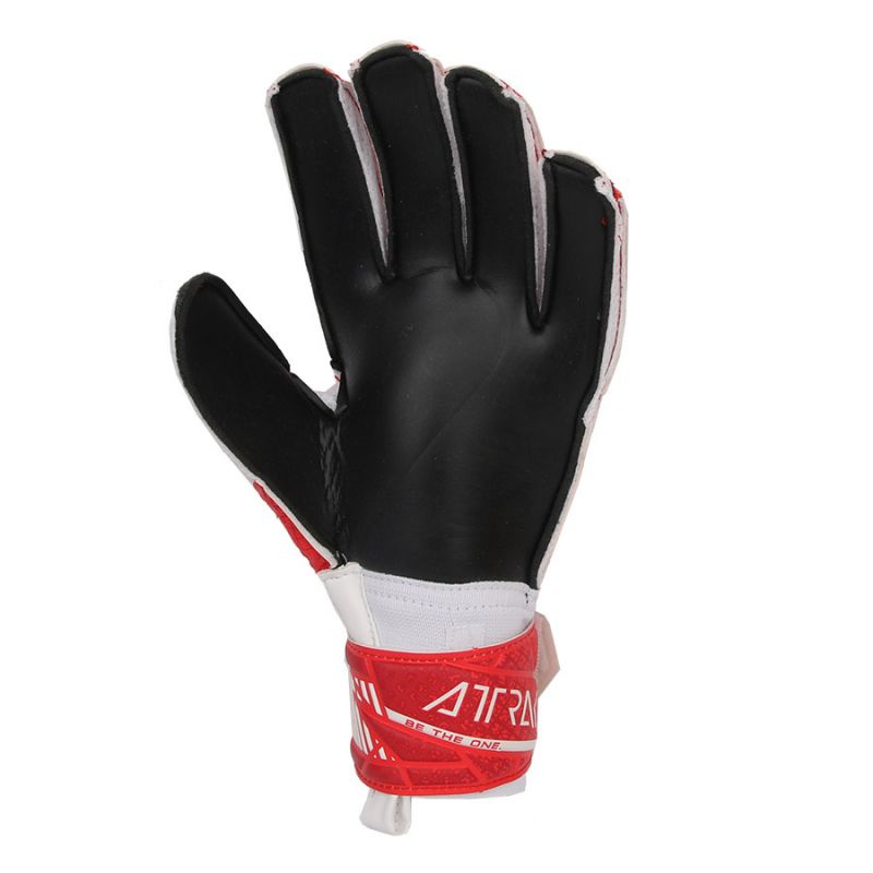 nanito_source_url:https://b2bsportswholesale.net/public/storage/productimages/d5/a8/3b/2c/1230552/image/xlarge_clean.jpg