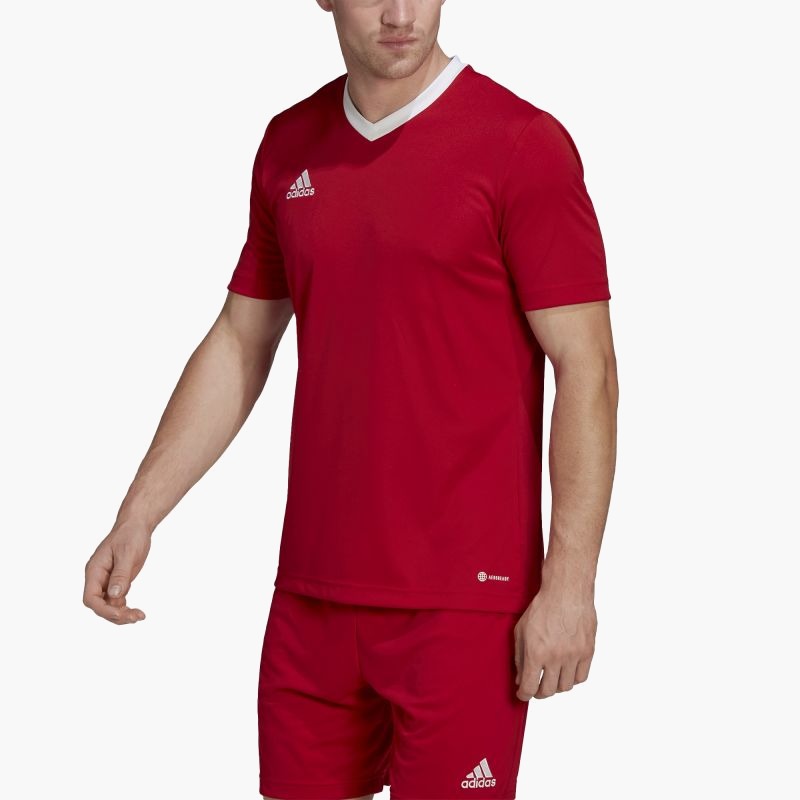Adidas Entrada 22 M T-shirt H61736