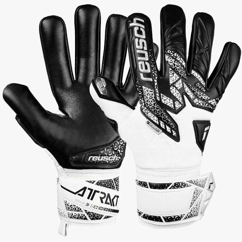 nanito_source_url:https://b2bsportswholesale.net/public/storage/productimages/21/61/c8/ee/1490889/image/xlarge_clean.jpg
