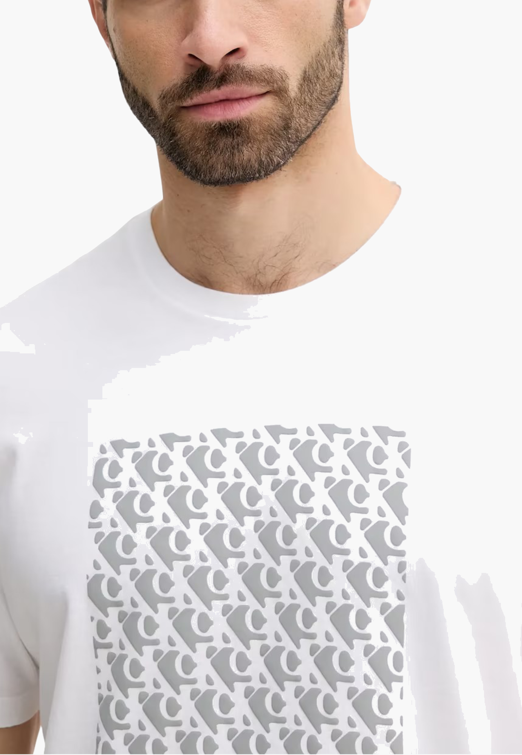 nanito_source_url:https://www.griffati.com/prod/product-103941-2136869345.png