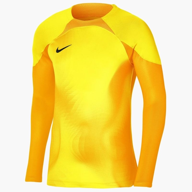 Nike Gardien IV Goalkeeper JSY M DH7967 719