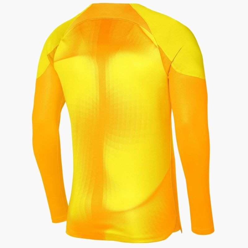 Nike Gardien IV Goalkeeper JSY M DH7967 719