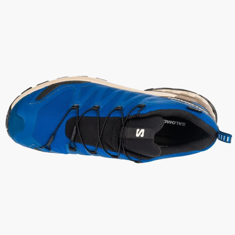 Salomon XA Pro 3D v9 GTX M L47817200 Running Shoes
