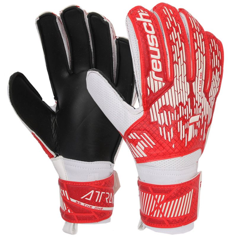 nanito_source_url:https://b2bsportswholesale.net/public/storage/productimages/46/fe/f8/d0/1230551/image/xlarge_clean.jpg