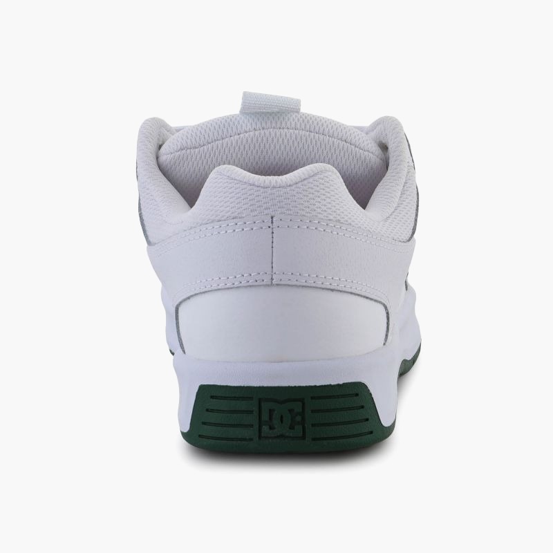 DC Shoes Lynx Zero SM ADYS100668-WGN shoes