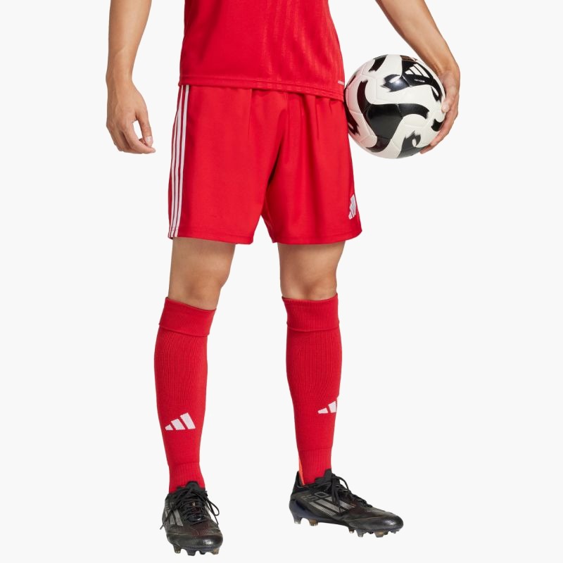 adidas Tastigo 25 M JN7157 shorts