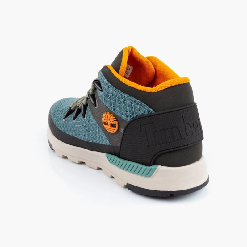 Timberland M TB0A5XEW CL6 boots