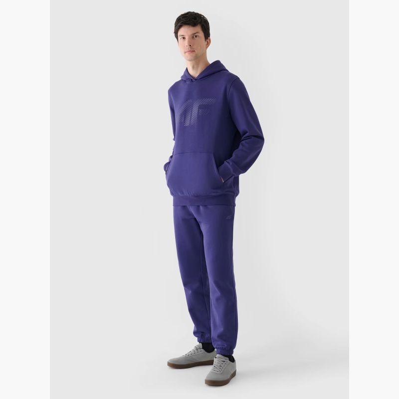 Men's sweatshirt with hood, open, 4F 4FWMM00TSWSM1766-31S