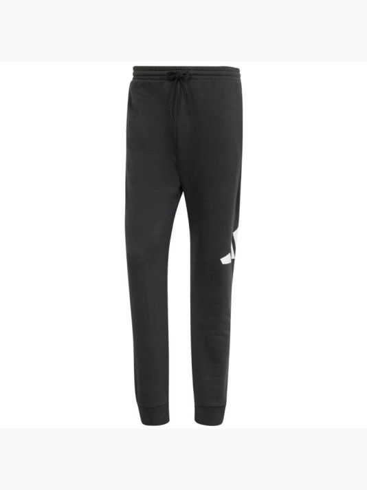 Adidas Essentials Big Logo French Terry M IN6163 pants