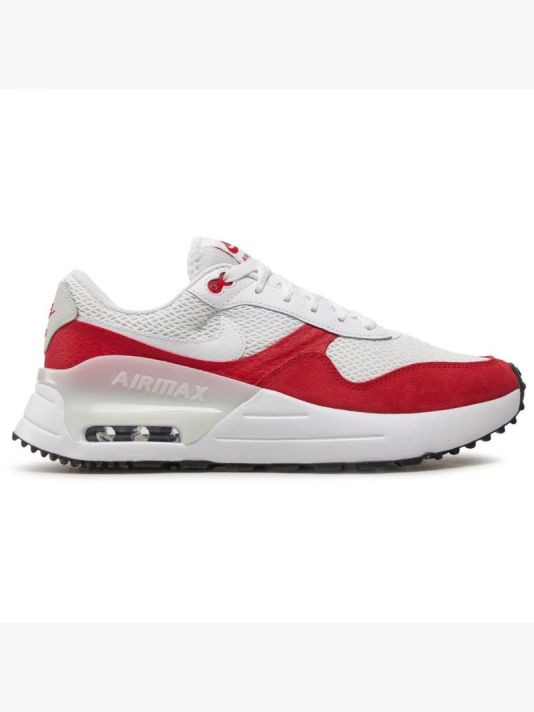 Мужская обувь Nike Air Max DM9537-104