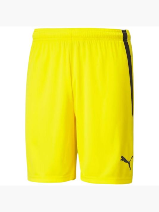 Puma teamLIGA M 704924 07 shorts
