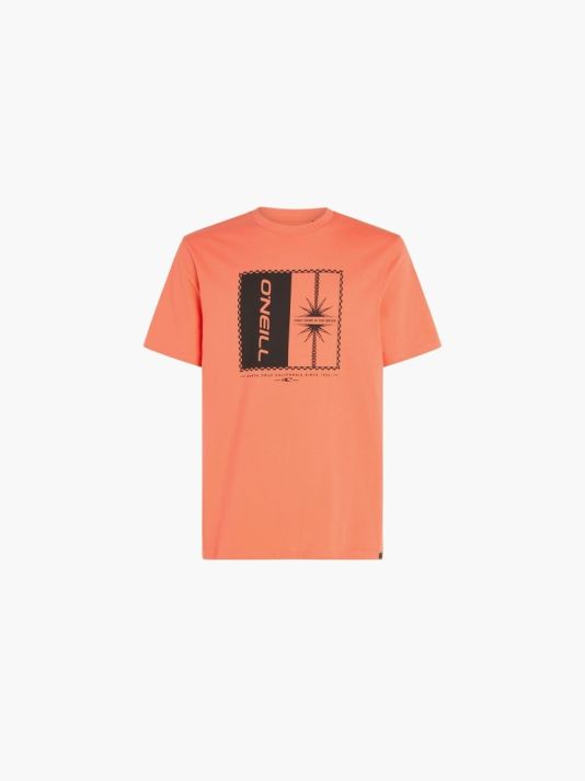 O'Neill Mix & Match Palm T-Shirt M 92800613905