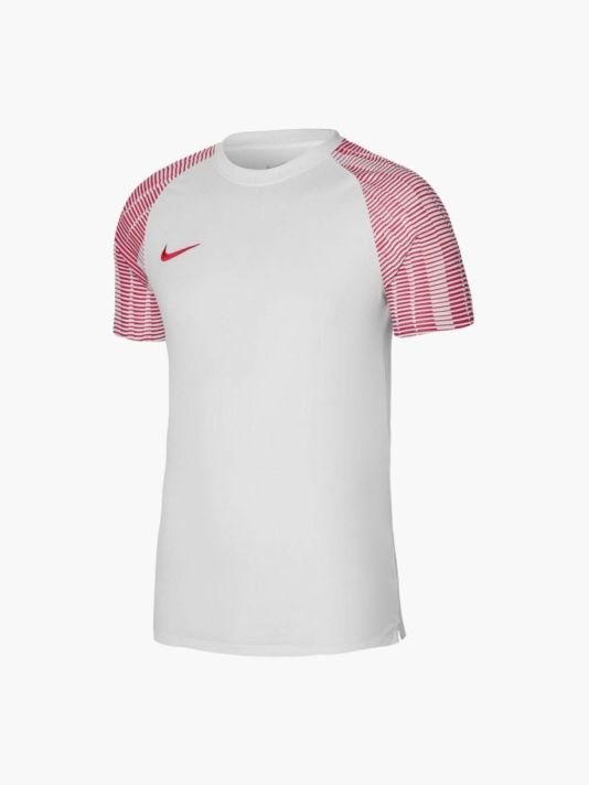 Nike Dri-Fit Academy SS M DH8031-100 T-shirt