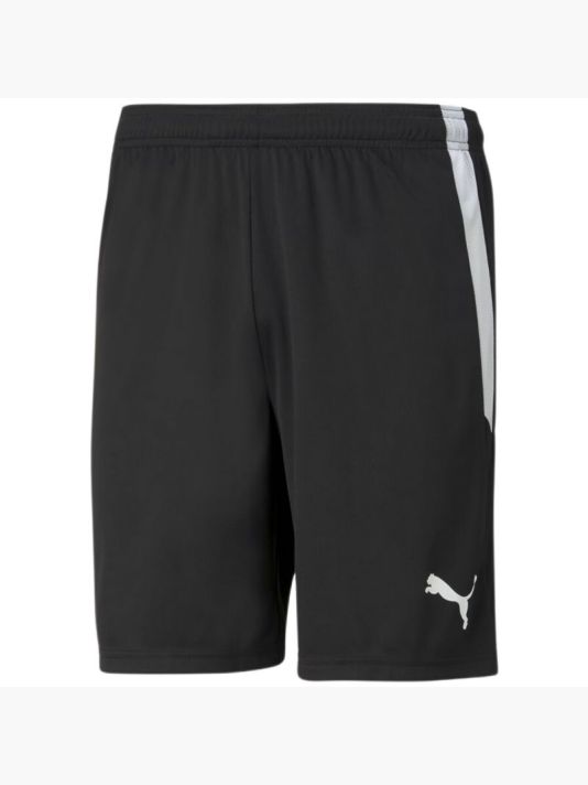 Puma teamLiga M 704924 03 shorts