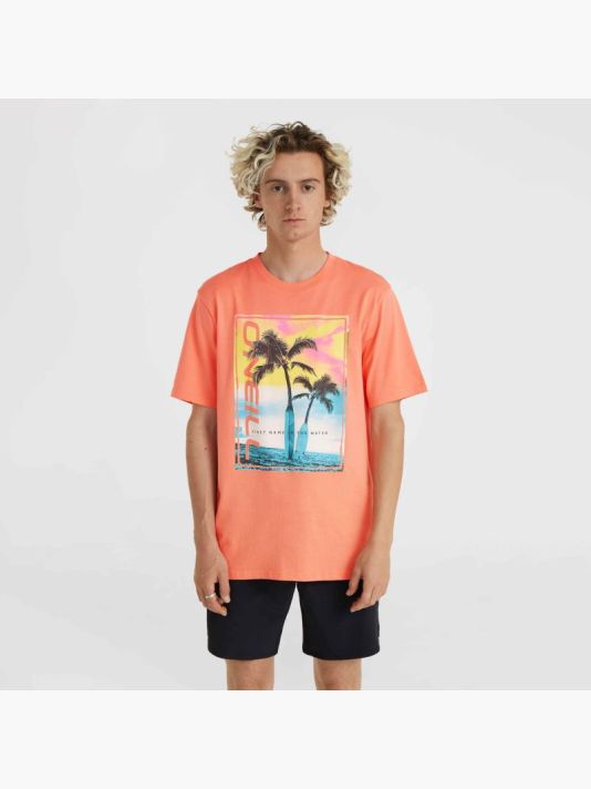O'Neill Jack Neon T-Shirt M 92800613602