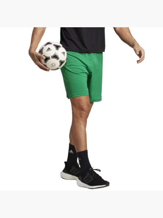 Adidas ENTRADA 22 Short M IC7405 shorts