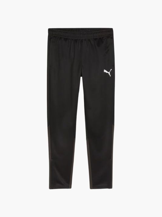 Puma Team Goal Training Pants M 658639 03