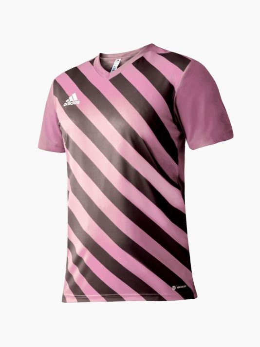 adidas Entrada 22 Graphic Jersey M HC2633