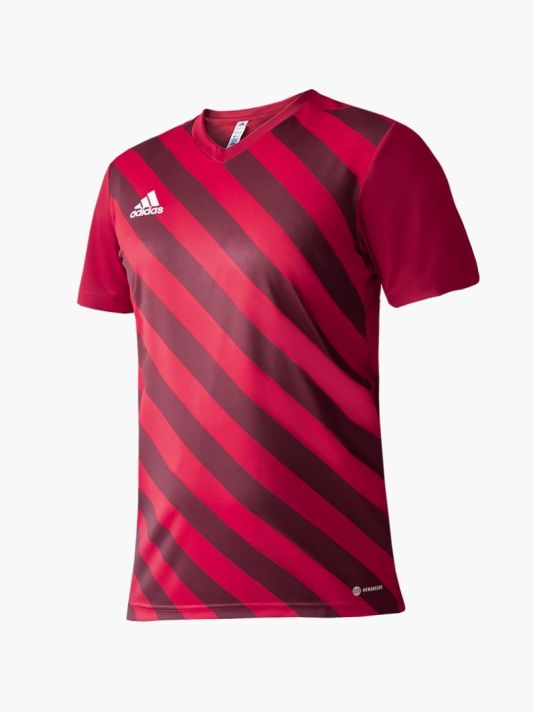 adidas Entrada 22 Graphic Jersey M HB0572