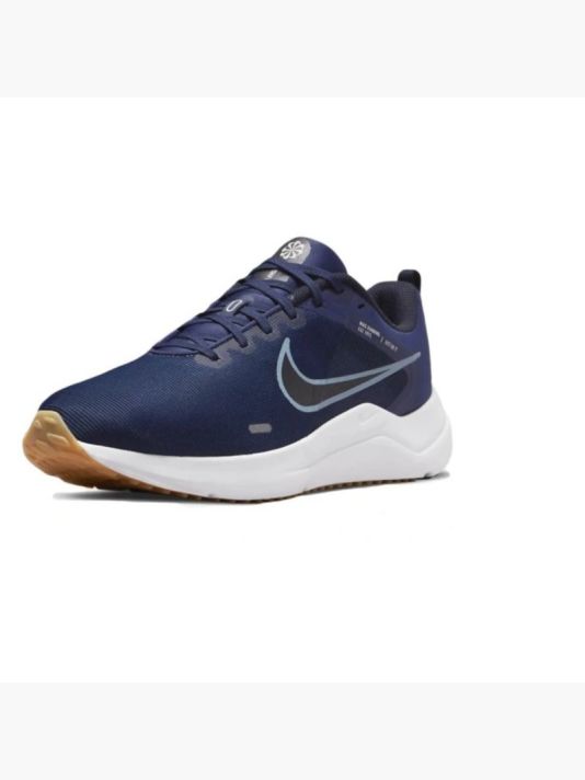 Nike Downshifter 12 M DD9293-400 shoes