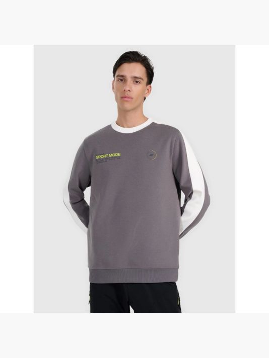 Men's sweatshirt without zipper, without hood, 4F 4FRAW25TSWSM2457-23S