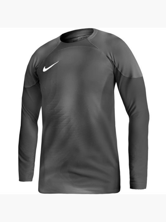 Nike Gardien IV Goalkeeper JSY M DH7967 060