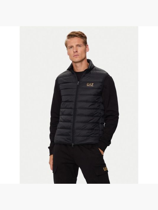 EA7 Emporio Armani Down Vest M 8NPQ06-PNGPZ-0208
