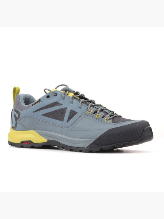 Salomon X Alp SPRY GTX M 401621 shoes
