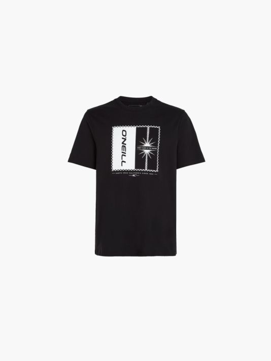O'Neill Mix & Match Palm T-Shirt M 92800613909