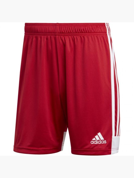 adidas Tastigo 19 Shorts M DP3681