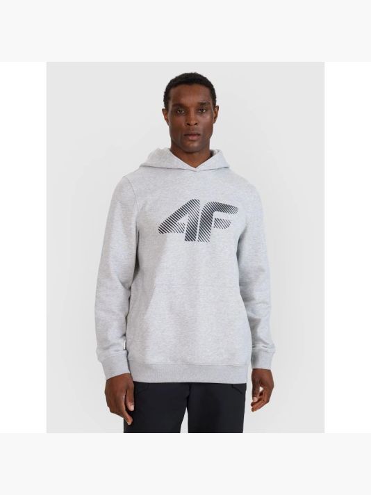Men's sweatshirt with hood, open, 4F 4FWMM00TSWSM1766-27M