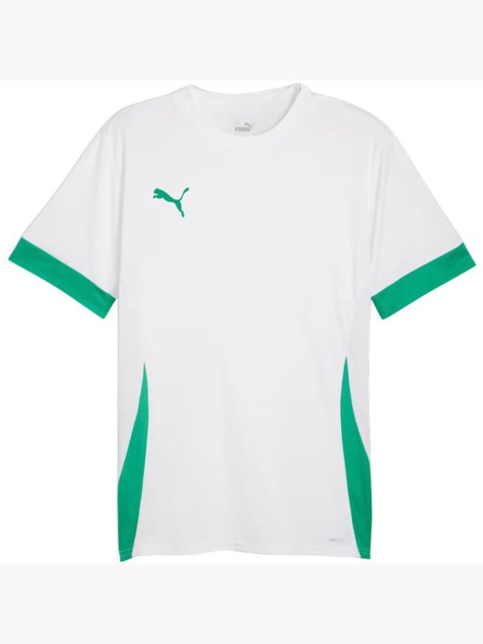 Puma teamGoal Matchday Jersey men's white-green 705747 15