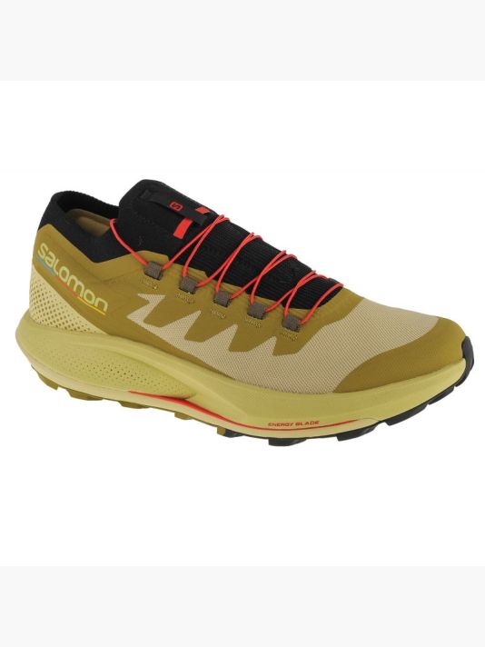 Salomon Pulsar Trail-Pro M 415936 shoes
